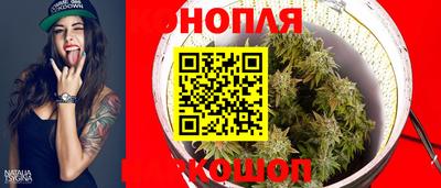 сатива Новокубанск