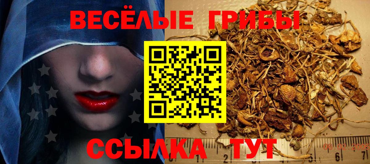 Серов  Галлюциногенные грибы Cubensis  Псилоцибиновые грибы Cubensis  Вход с VPN 