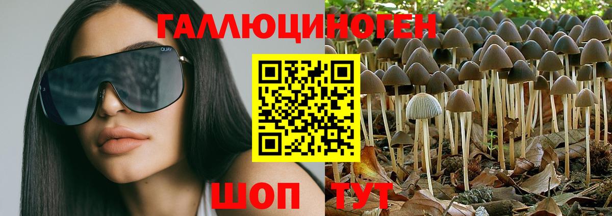 Галлюциногенные грибы GOLDEN TEACHER Серов
